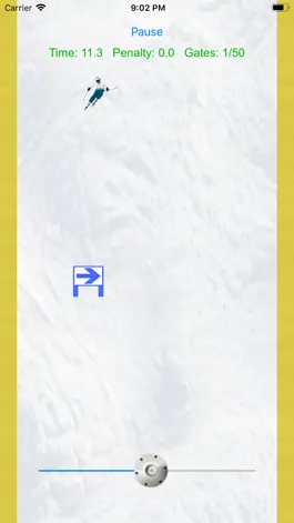 Game screenshot Ski Pro mod apk