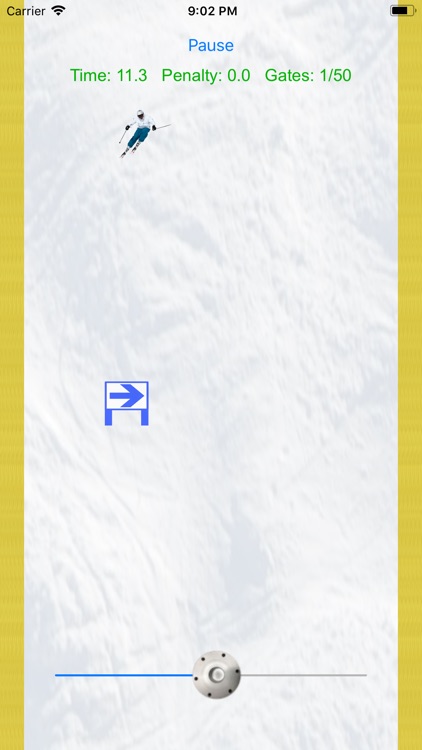 Ski Pro screenshot-0