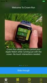 Crown Run screenshot
