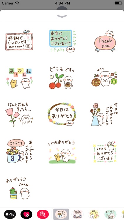 おめでとう&ありがとう〜たれ目ネコ〜