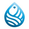 Origineblu icon