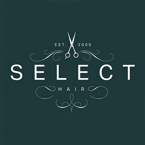 Select Hair icon