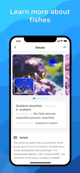 Picture Fish: Screenshot 4 von 4