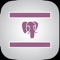 Icon PostgreSqlProg2 - PostgreSql