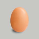 Eierwekker Egg Timer