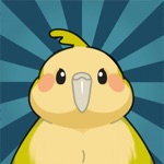 Download Widget Parrot With Friends app