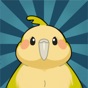 Widget Parrot With Friends app download
