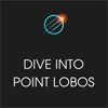 Xplore: Dive into Point Lobos icon