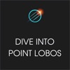 Xplore: Dive into Point Lobos