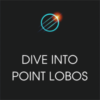 Xplore Dive into Point Lobos