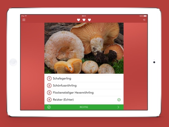 Screenshot #4 for Pilze sammeln und bestimmen