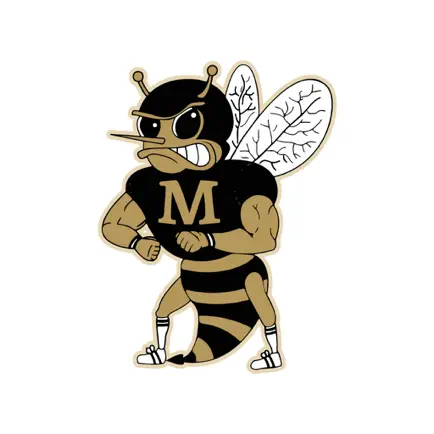 Meridian ISD, TX Cheats