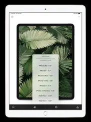 store screenshot maker ipad capturas de pantalla 4