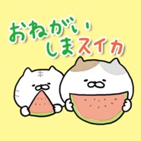 動く！にゃんこたち app icon - Stickers app for iPhone