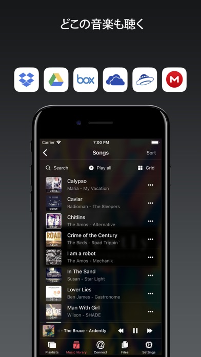 Evermusic Pro - オフライン音楽 screenshot1