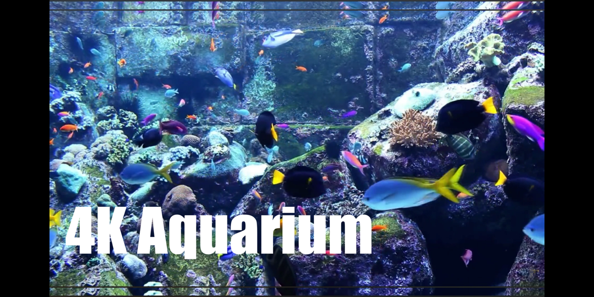 hd aquarium screensaver for windows 7