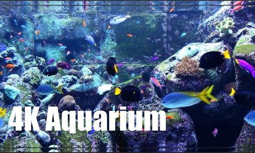 Aquarium Fish Tank HD icon