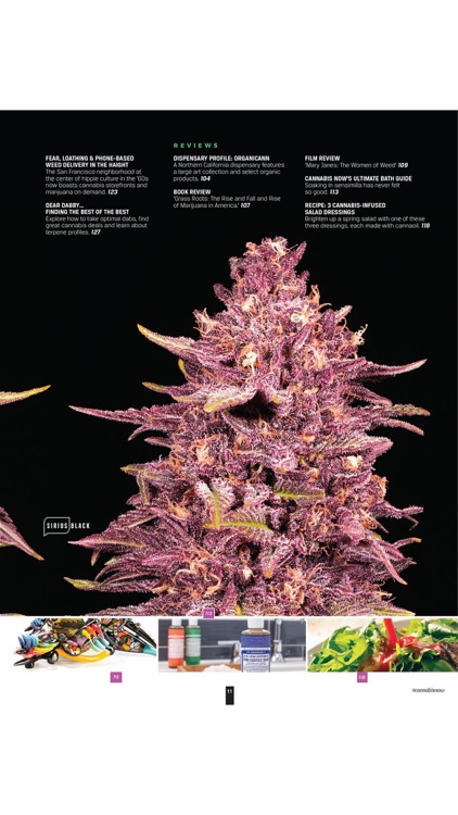 Cannabis Now screenshot-3