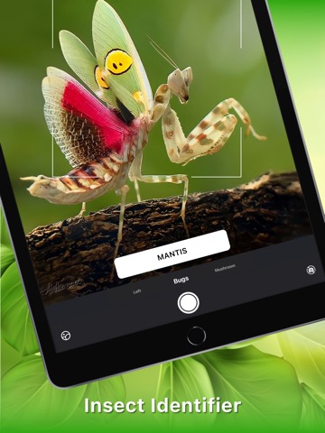 Insect identifier 植物 虫検索 虫アプリのおすすめ画像1
