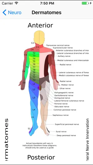 MSK Physio screenshot 4