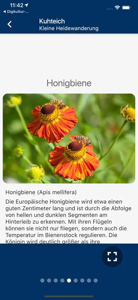 Natürlich Hamburg!