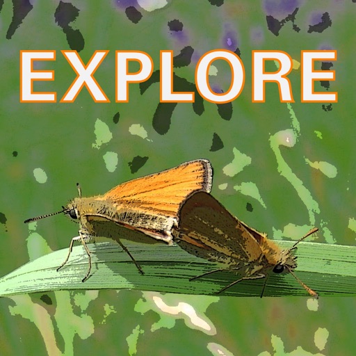 Explore Wild Essex