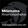 Mörrums Kronolaxfiske