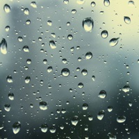 雨の音 :: リラックス 快眠 - アニメーションの雨,雨音