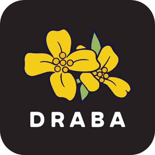 Draba
