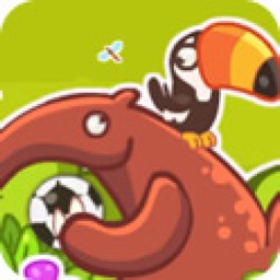 Soccer Sport:Foot Yard