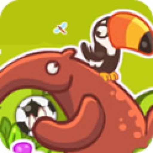 Soccer Sport:Foot Yard