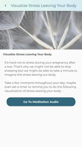 Game screenshot Pregnancy After Loss App mod apk