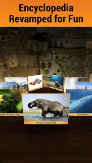 geo walk - world factbook 3d iphone screenshot 4