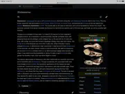 dark mode for safari iPad Captures Décran 4