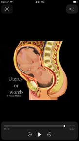 Gynecology Dictionary screenshot