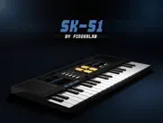 sk-51 айпад изображения 1