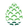 Pinecone Mobile App icon