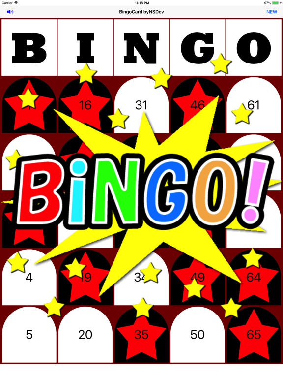 Screenshot #4 pour BingoCard byNSDev