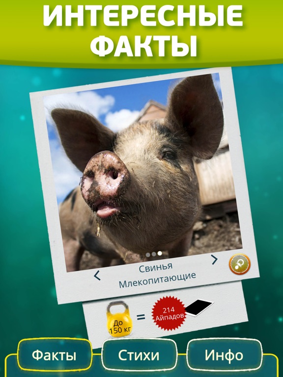 Игра Веселый генетик: Смешные звери