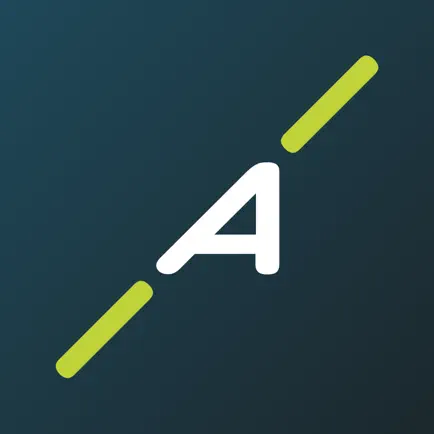 Adient Читы