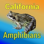 California Amphibians - Guide to Common Species