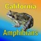 Another app in our California Wildlife series