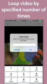 How to cancel & delete video looper pro 1