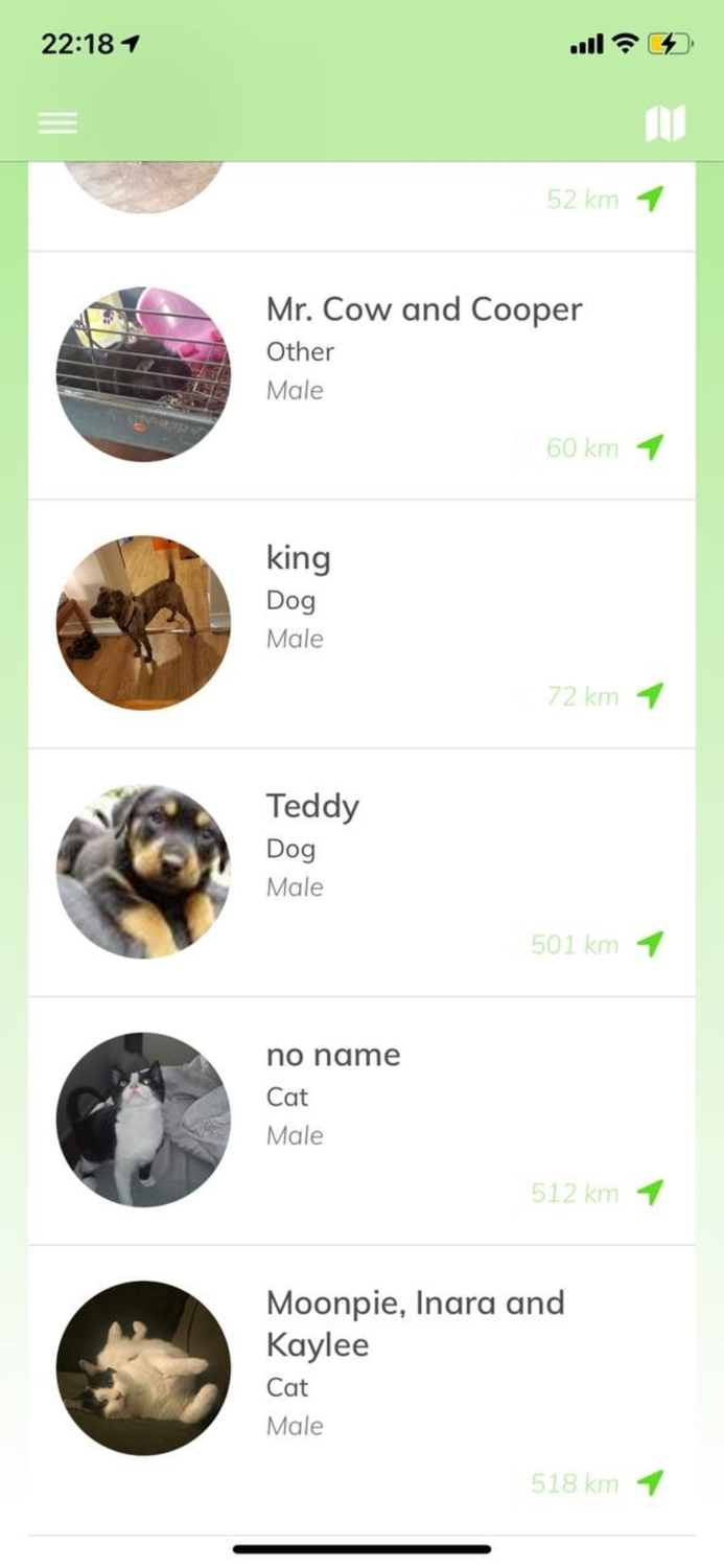 Pets Adoption Adopt Dog Cat