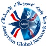 AGN Sat icon