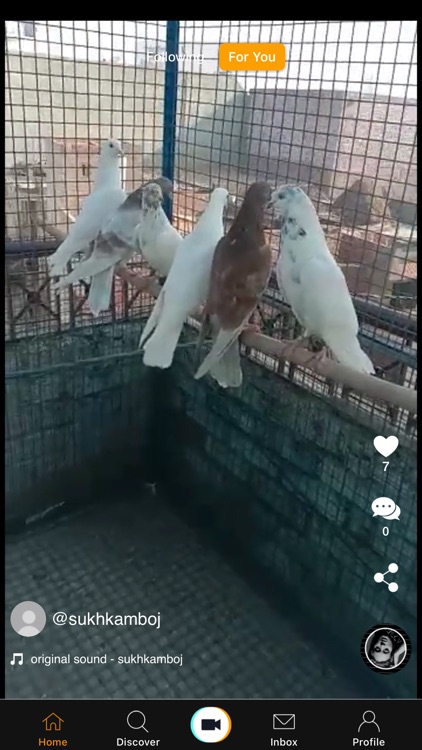 Live Zone Short Video Sharing screenshot-6
