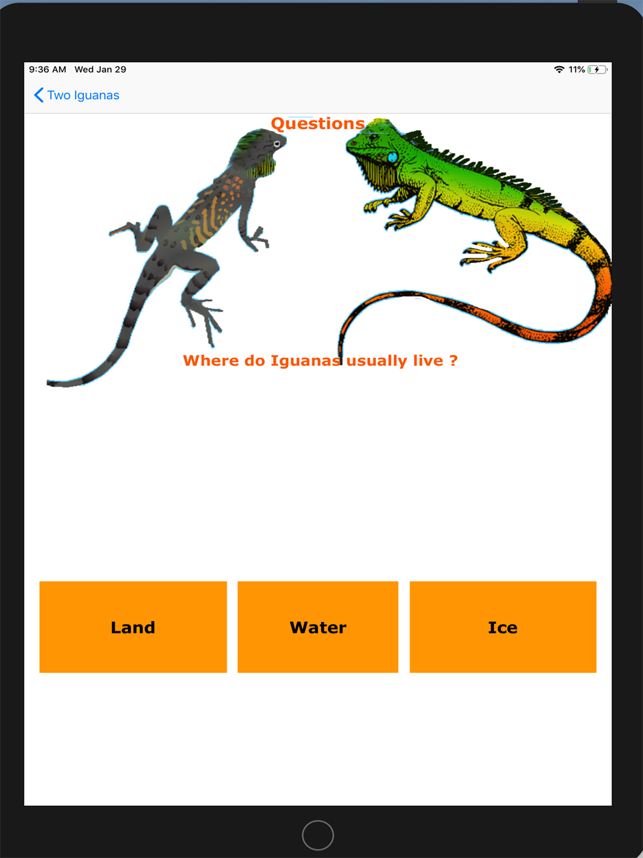 ‎Two Iguanas Screenshot