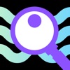 visiony icon