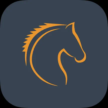 Traces of horses in Prague Cheats