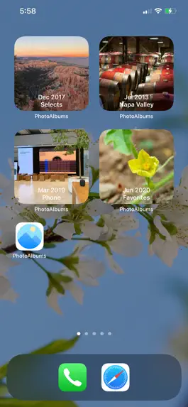 Game screenshot Photo Albums and Widget apk